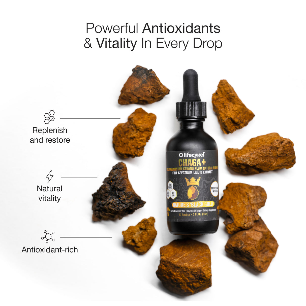 Life Cykel Chaga Mushroom Double Extract