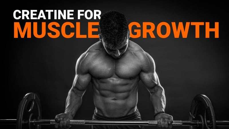A muscular person doing a bicep curl with text behind that says creatine for muscle growth