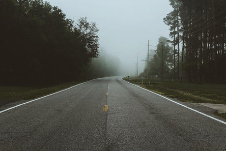 Empty street through the woods