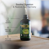 Life Cykel Turkey Tail Mushroom Double Extract