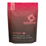 Tailwind Rebuild Recovery