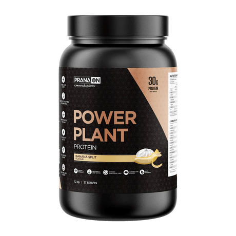 PranaOn Power Plant Protein