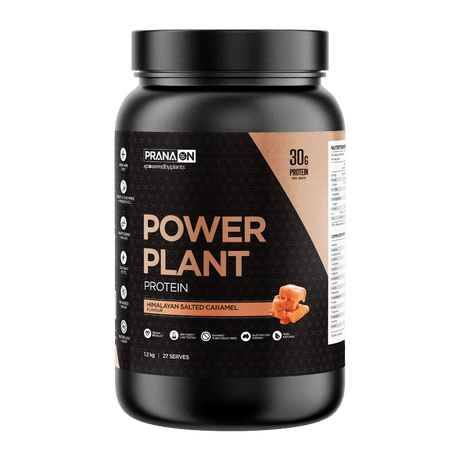 PranaOn Power Plant Protein